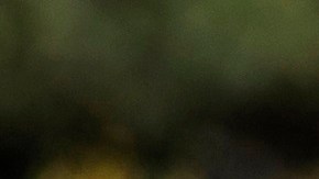 Las embarazadas fueron excluidas de los ensayos clínicos, por lo que todavía hay muchas dudas.