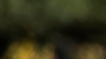 Las embarazadas fueron excluidas de los ensayos clínicos, por lo que todavía hay muchas dudas.