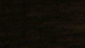 Estos platillos siguen cautivando los paladares más exigentes.