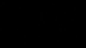 Una misteriosa figura aparece y desaparece ante los ojos de dos exploradores en una residencia de ancianos abandonada.