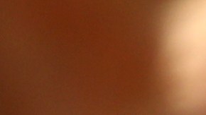 fernando alonso regresa entrenamientos