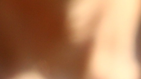 fernando alonso regresa entrenamientos