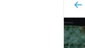 En su cuenta en Twitter publicó hasta el miércoles