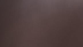 Su cuidadora no sabe en qué gastará tanto dinero para el perro.