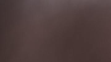 Su cuidadora no sabe en qué gastará tanto dinero para el perro.