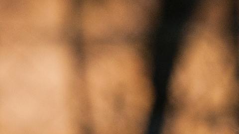 El hombre comenzó a desangrarse.