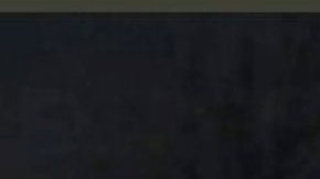 Detención brutal, 23 de marzo 2020