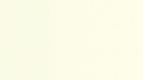 La pareja aseguró que quiso devolverles un poco a las personas que han estado con ellos.