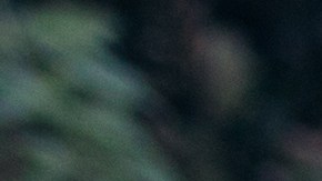 El cañón lanzó esquirlas que le provocaron heridas mortales.