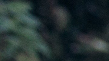 El cañón lanzó esquirlas que le provocaron heridas mortales.