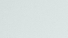 El loro Bud ya no podía volar por su excesivo peso.