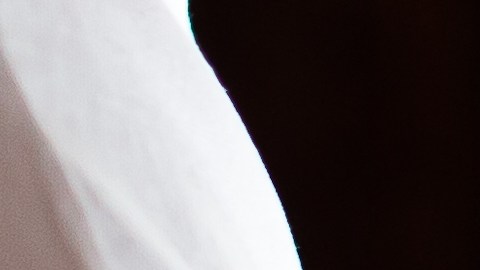 Los pulmones del bebé se llenaron de agua.