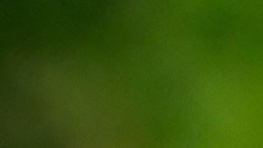 No era la primera vez que la pareja protagonizaba una escena de este tipo.