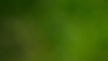 No era la primera vez que la pareja protagonizaba una escena de este tipo.