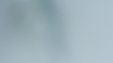 Coronavirus,Outbreak:,A,Woman,Reading,News/updates,About,Coronavirus,And,Getting