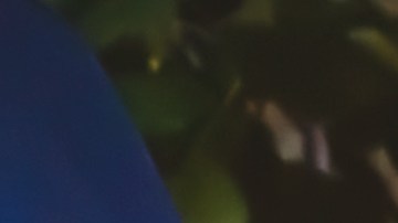 La madre no daba crédito a lo que les acababa de ocurrir.