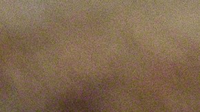 Los cuatro hipopótamos que llevó Pablo Escobar a su zoológico privado se multiplicaron aceleradamente.