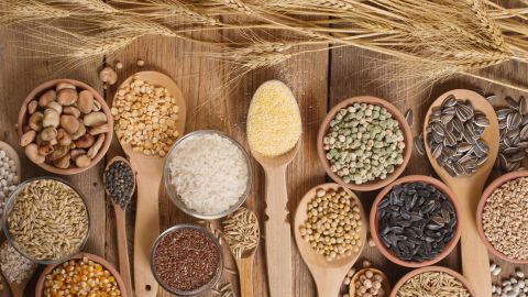 granos alimentación