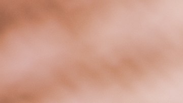 El hombre no se casó ni tuvo hijos, por lo que no tenía a quién heredar.