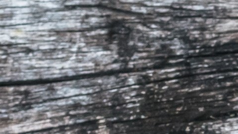 Heart,Health,Care,Medical,Cardiovascular,Disease,Concept,And,Organ,Donor