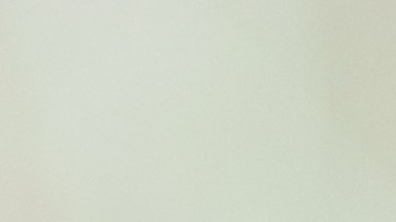 También le buscarán una nueva familia en Canadá.