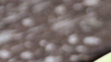 Ensalada de garbanzos