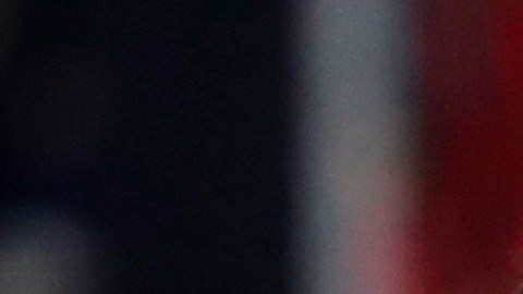 Los Tigres enfrentarán a Palmeiras en la semifinal del Mundial de Clubes.