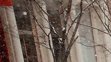 La situación será peor por el cambio climático.