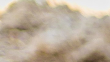 El hombre era viudo y no tenía más familia.