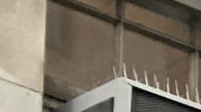 Bajo amplia presencia policial inquilinos imploran que el Estado pague rentas atrasadas por el COVID