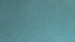 Jirafa en Bronx Zoo, NYC.