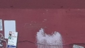 Apuesta por una primavera literal en NYC.