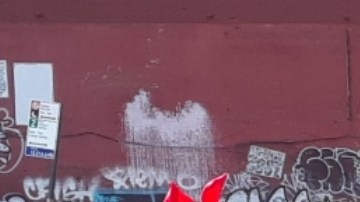 Apuesta por una primavera literal en NYC.