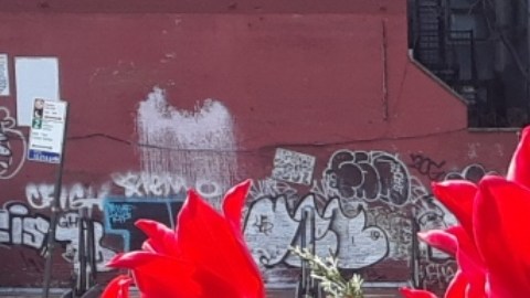 Apuesta por una primavera literal en NYC.