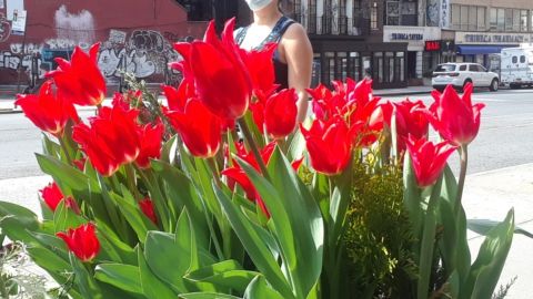 Apuesta por una primavera literal en NYC.