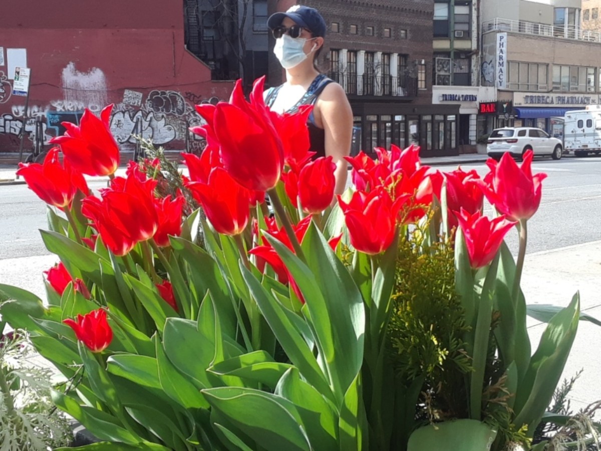 Llegó la primavera, pero sigue el clima invernal ¿Hasta cuándo hará frío en Nueva York?