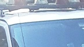 NYPD alerta por violencia armada.