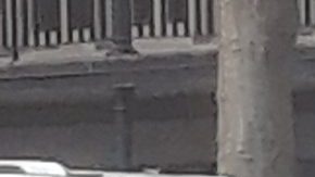 NYPD en Gramercy Park.