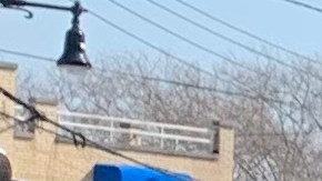 Familiares de reclusos muertos en aislamiento prolongado en prisiones y activistas, han exigido firmar ley HALT.