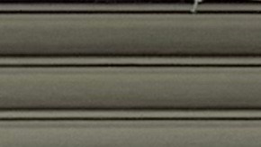 Críticas de lado y lado a reforma policial aprobada por el Concejo Municipal