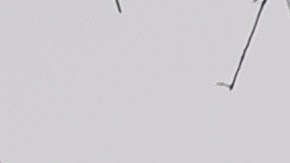 Tornado sur EEUU Georgia