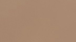 La inmigrante Rubiela Correa lleva ya más de una semana en huelga de hambre