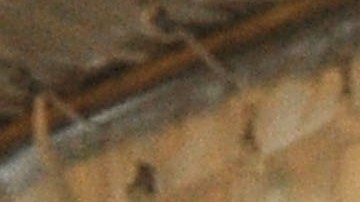 Beyonce y su hermana Solange Knowles, quien ha revelado que estuvo al borde de la muerte.