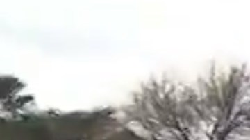 El momento fue transmitido en vivo por medios como C-SPAN.