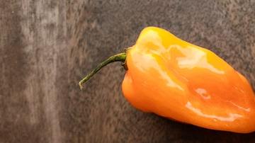 Salsa picante