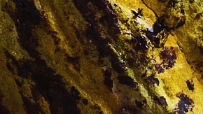 Café con cocoa en polvo