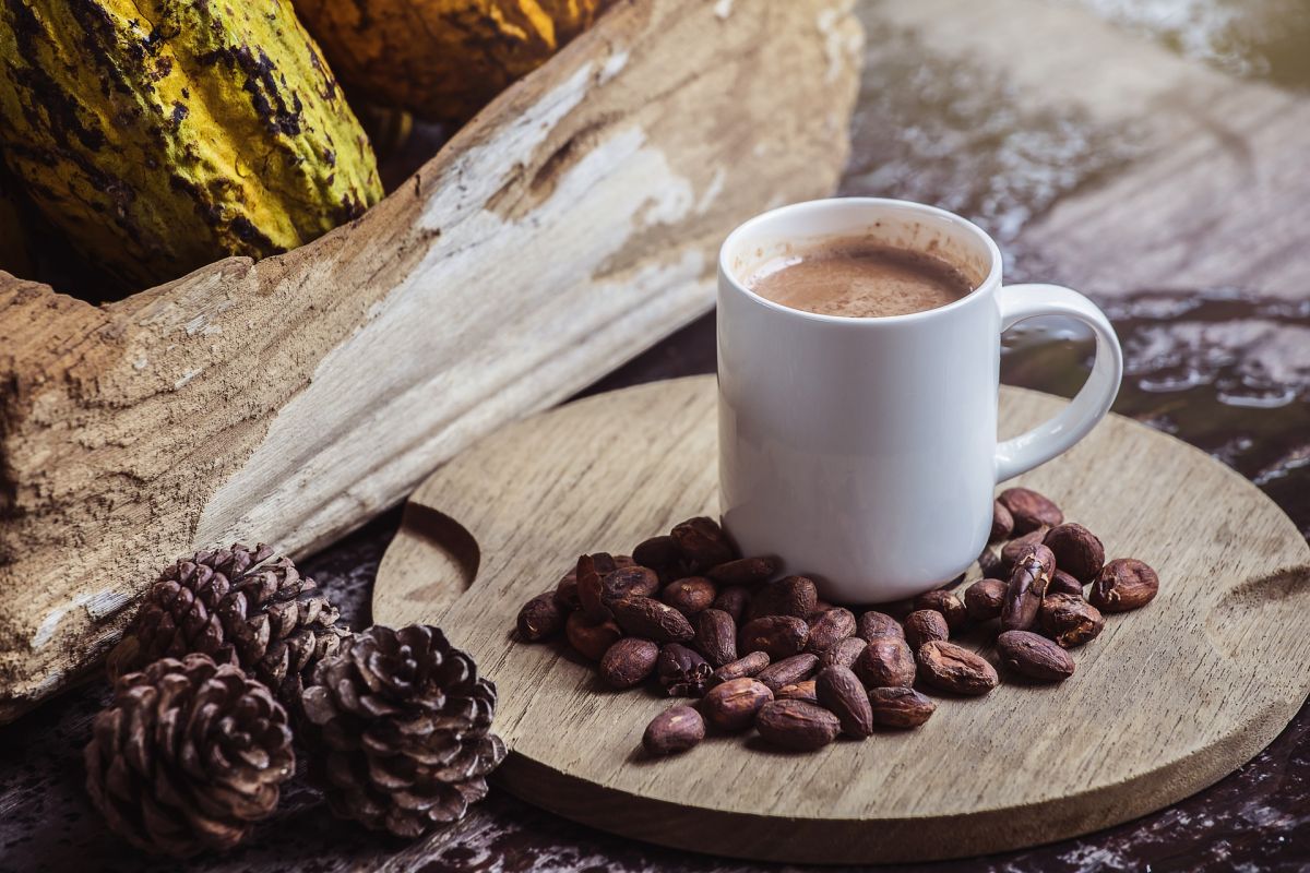 El cacao interviene de manera positiva en el metabolismo de los lípidos y es por ello un gran aliado para bajar de peso.