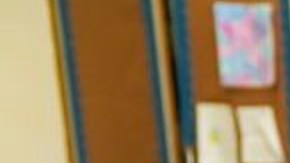 La canciller de Educación Meisha Ross Porter compartió su primer día en el trabajo con estudiantes de la PS 15, localizada en Brooklyn.