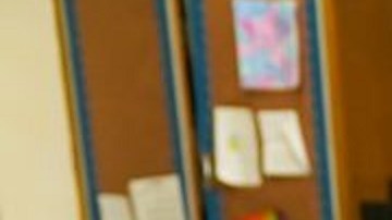 La canciller de Educación Meisha Ross Porter compartió su primer día en el trabajo con estudiantes de la PS 15, localizada en Brooklyn.