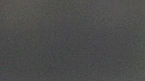 Tigres quiere a Douglas Costa